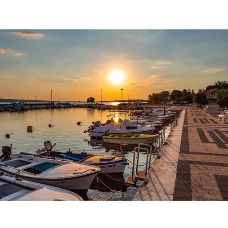Apartment Antonela Seline